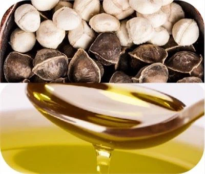 Moringas sēklu eļļas ražošanas līnija