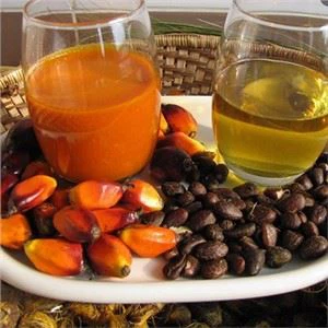 Palmu augļu eļļas rafinēšanas un frakcionēšanas iekārtas